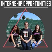 internship opportunities